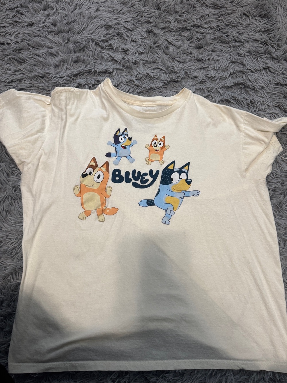 Bluey graphic tee